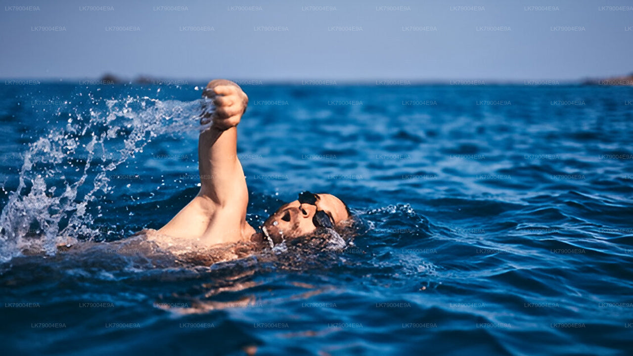 3-godzinny wspólny rejs o zachodzie słońca z Galle