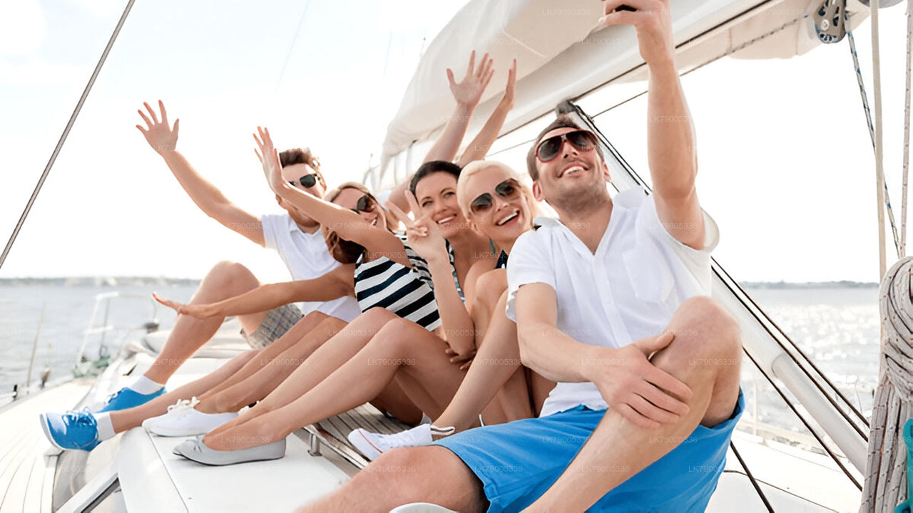 7 Hour whale watching shared cruise from Trincomalee