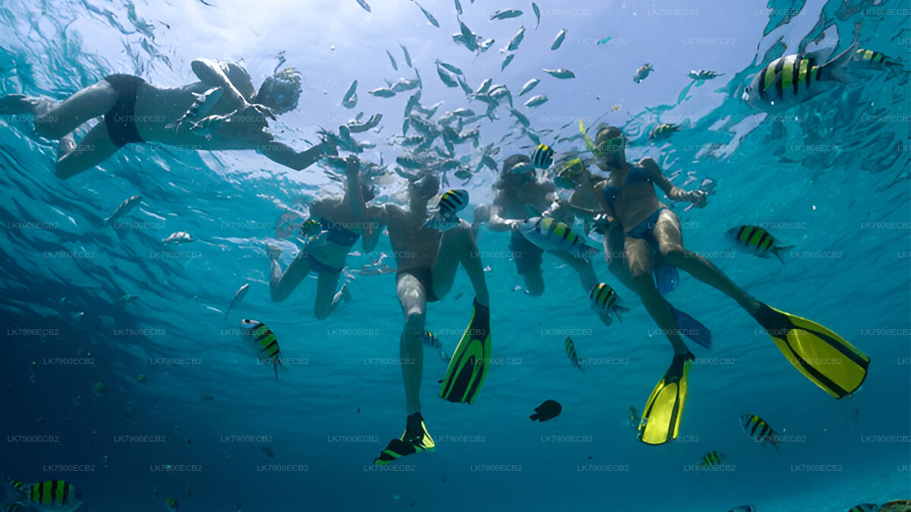 2-nocny rejs z Mirissy na statku Ocean Diamond