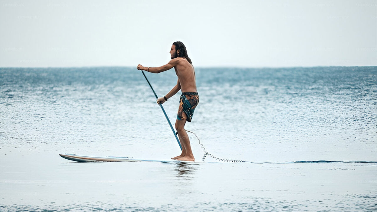 2-nocny rejs z Mirissy na statku Ocean Diamond