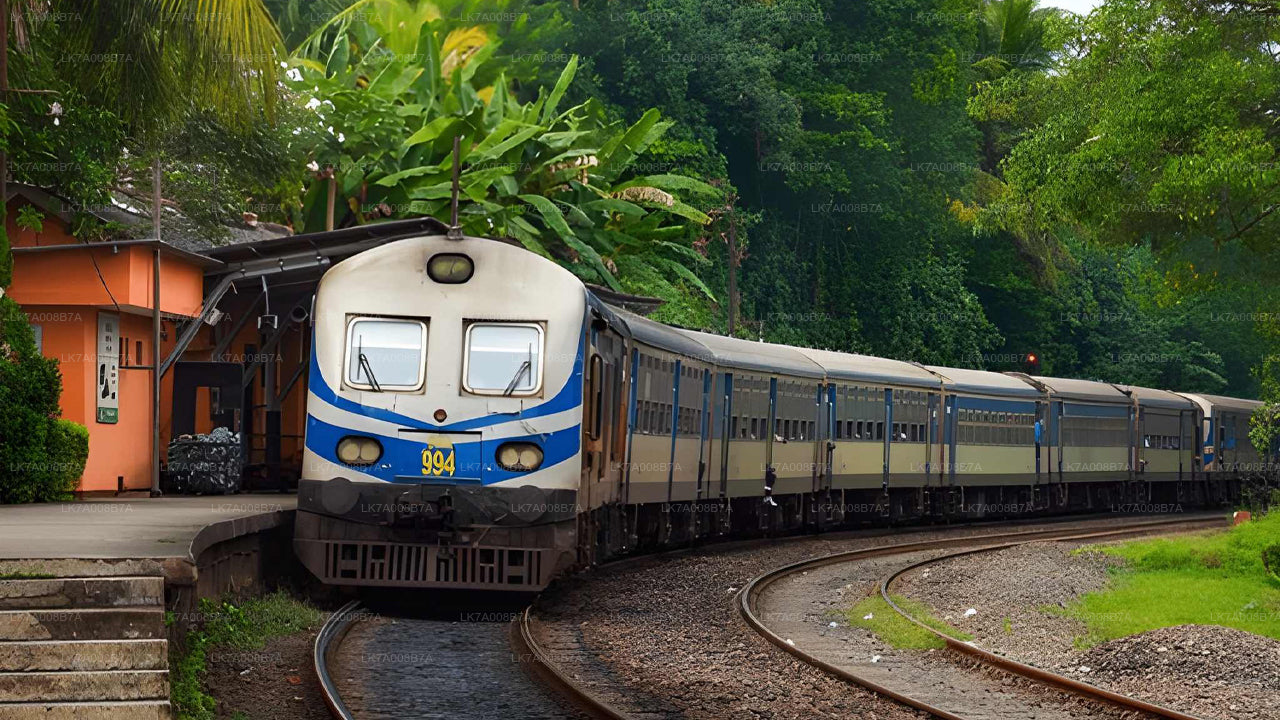 Train on a track surrounded by greenery and a building.