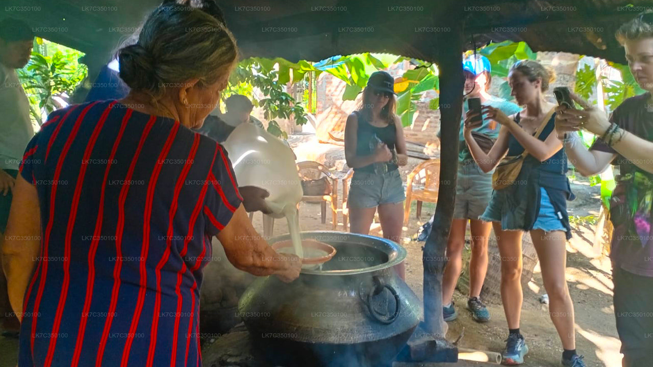 Doświadczenie w przetwarzaniu twarogu w Tissamaharama