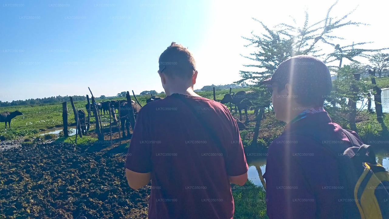 Doświadczenie w przetwarzaniu twarogu w Tissamaharama