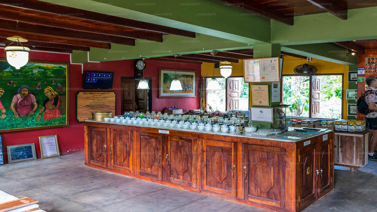 Wooden counter with various items in a room with colorful walls and ceiling.