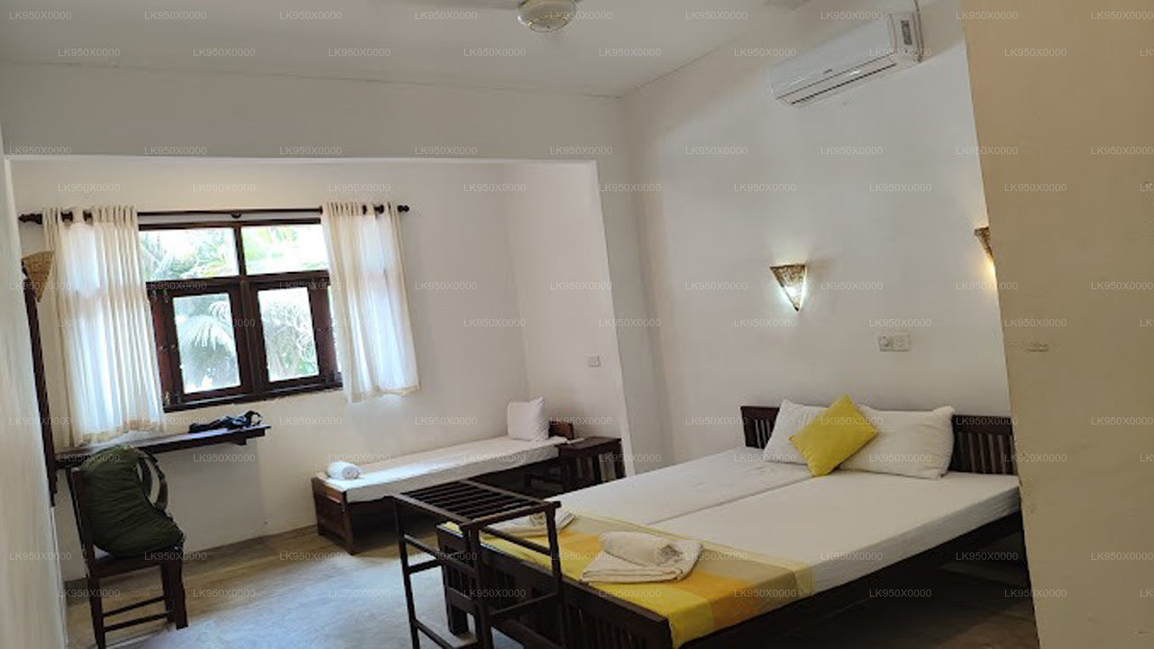 turtles rest & curry bowl, Hikkaduwa