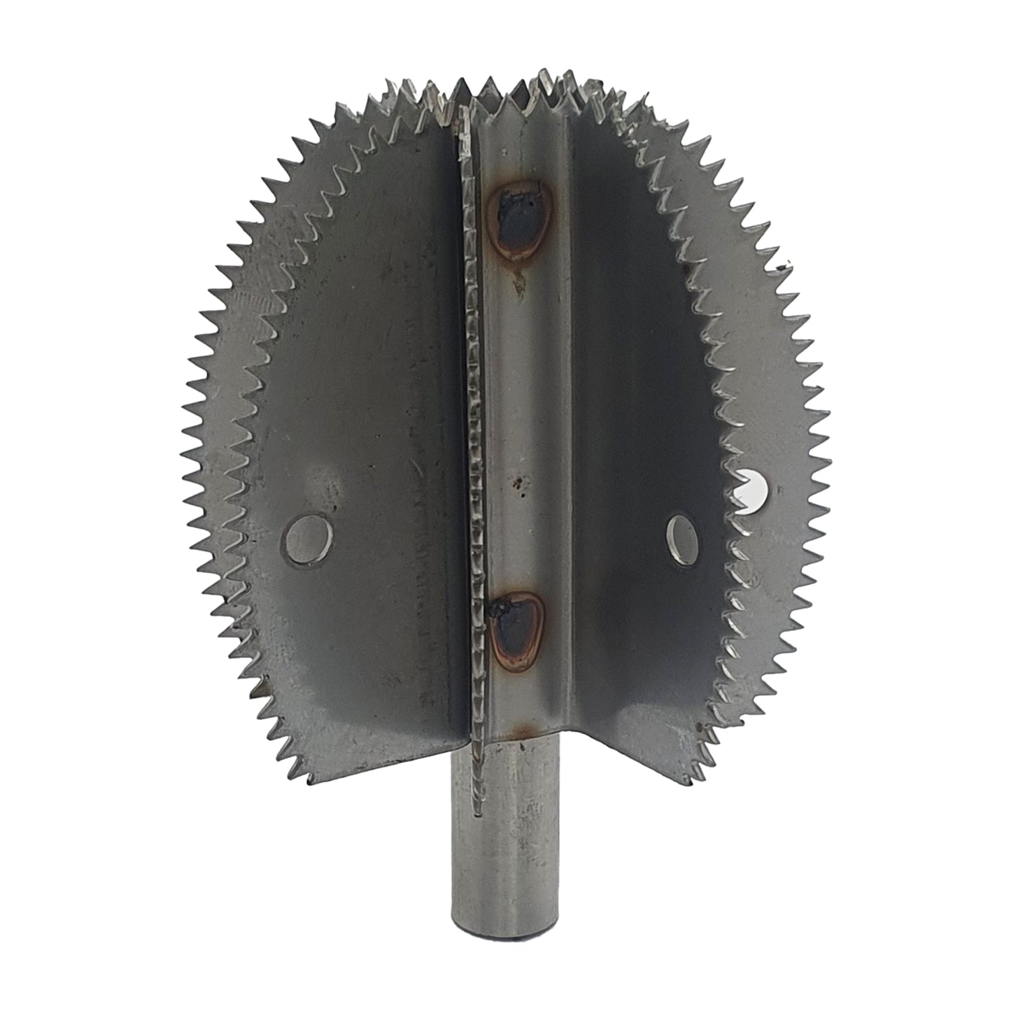 Wymienne ostrze do skrobaczki do kokosa Odiris