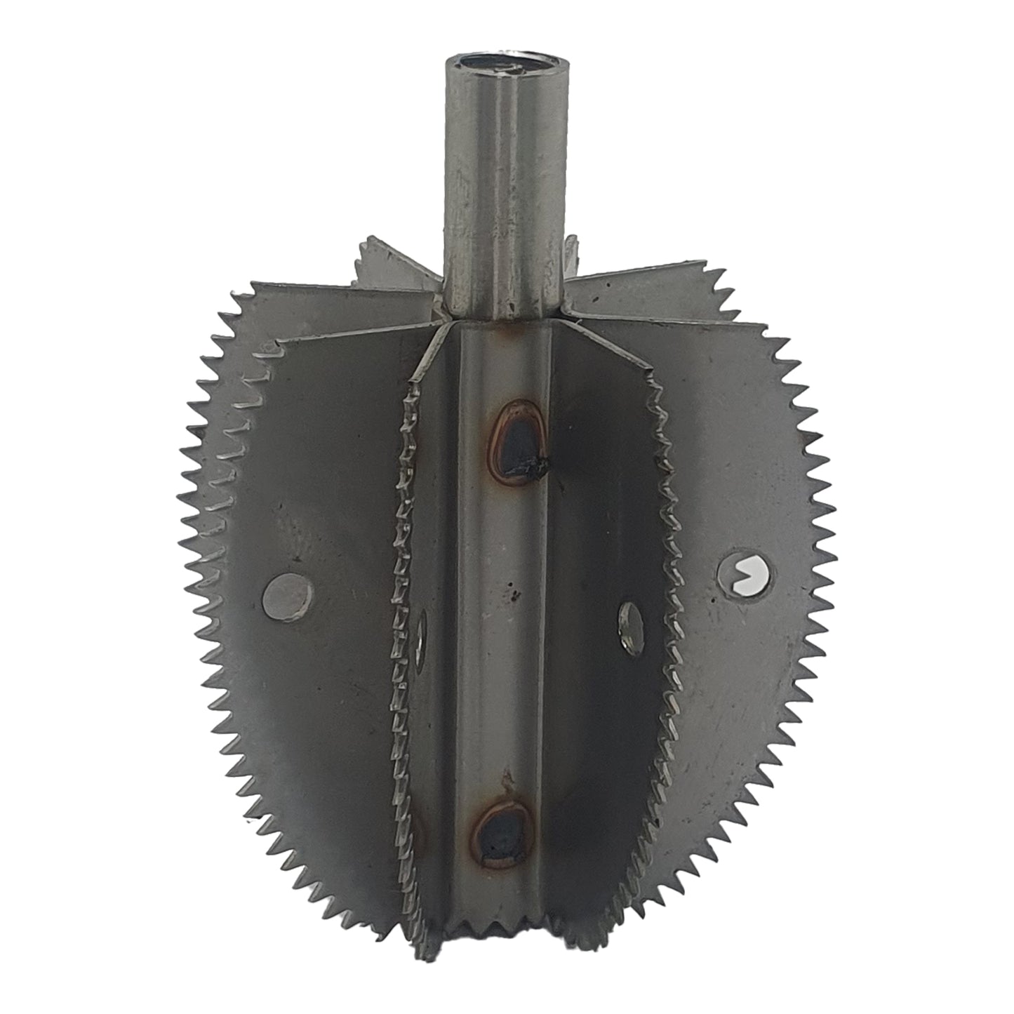 Wymienne ostrze do skrobaczki do kokosa Odiris