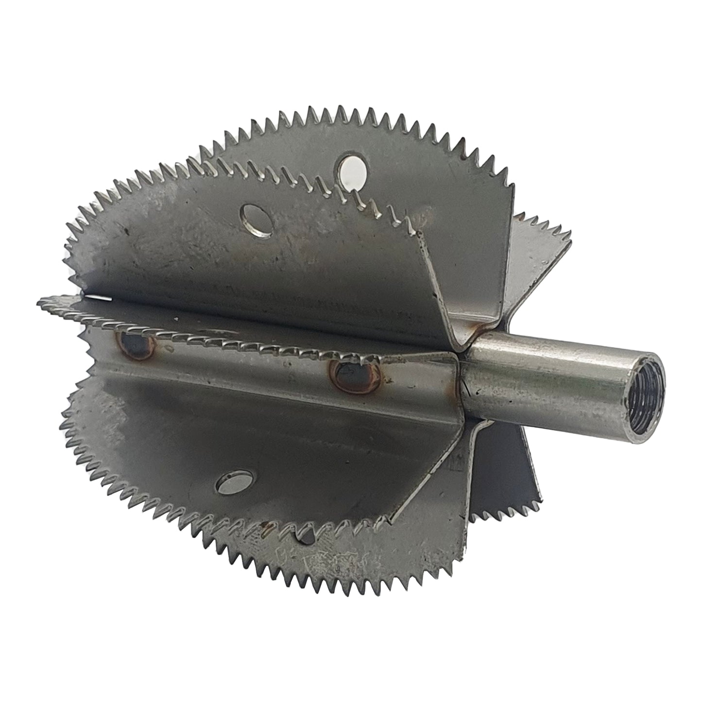 Wymienne ostrze do skrobaczki do kokosa Odiris