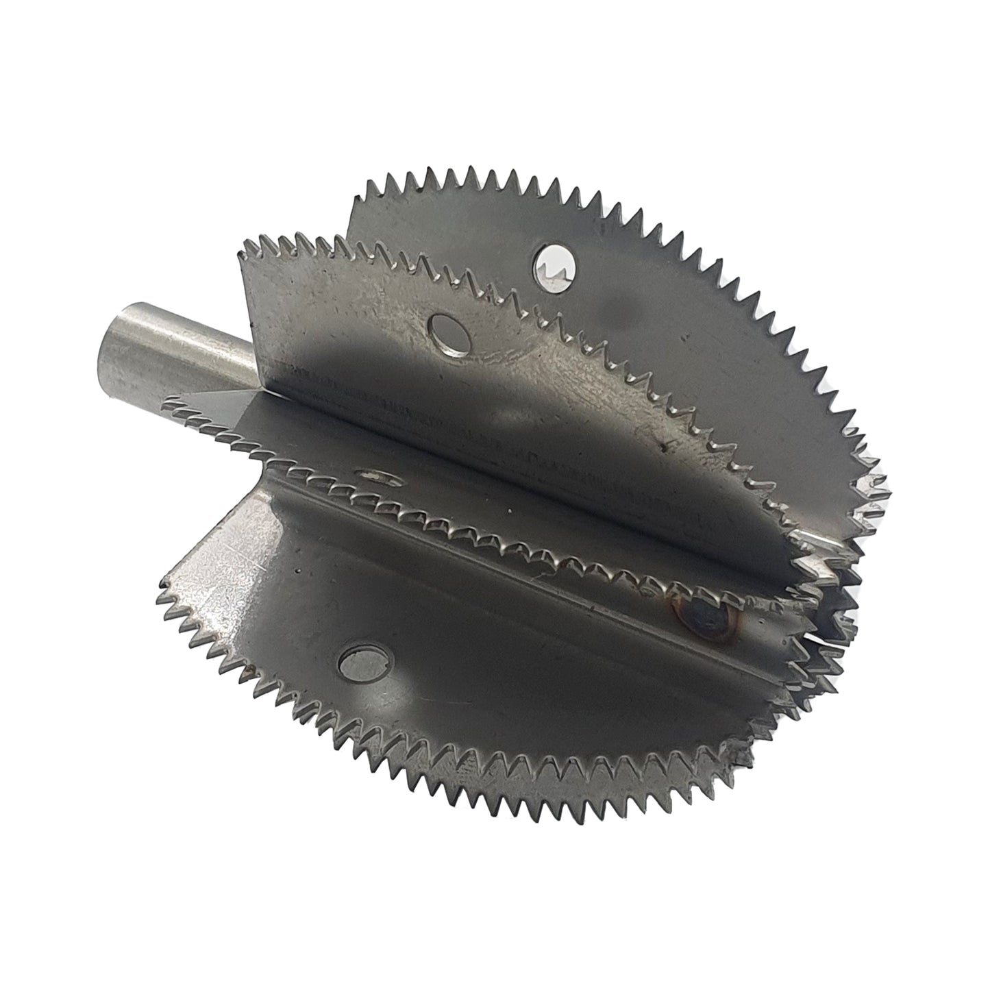 Wymienne ostrze do skrobaczki do kokosa Odiris