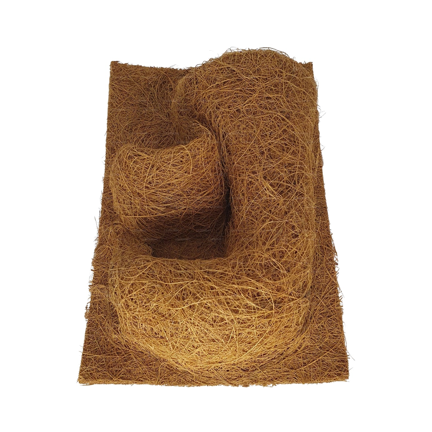 Tło do sadzenia naturalnego kokosa Bivenro (20 cm x 30 cm)