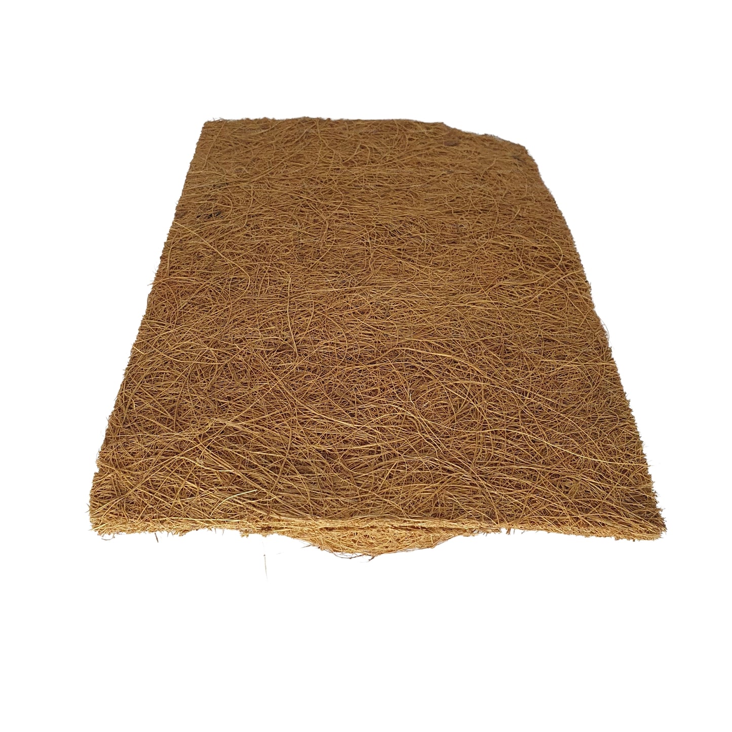 Tło do sadzenia naturalnego kokosa Bivenro (20 cm x 30 cm)