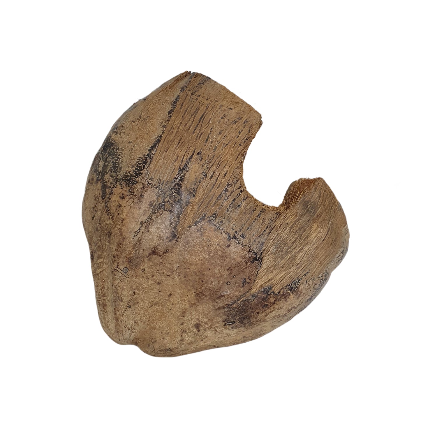 Bivenro Natural 3/4 kryjówka kakaowa z wzorem łuski (wolny rozmiar)