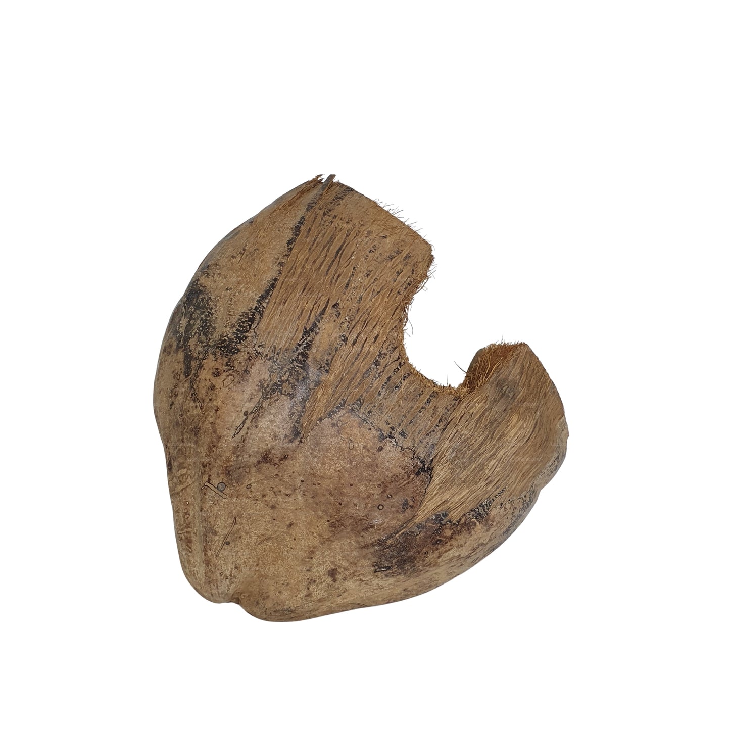 Bivenro Natural 3/4 kryjówka kakaowa z wzorem łuski (wolny rozmiar)