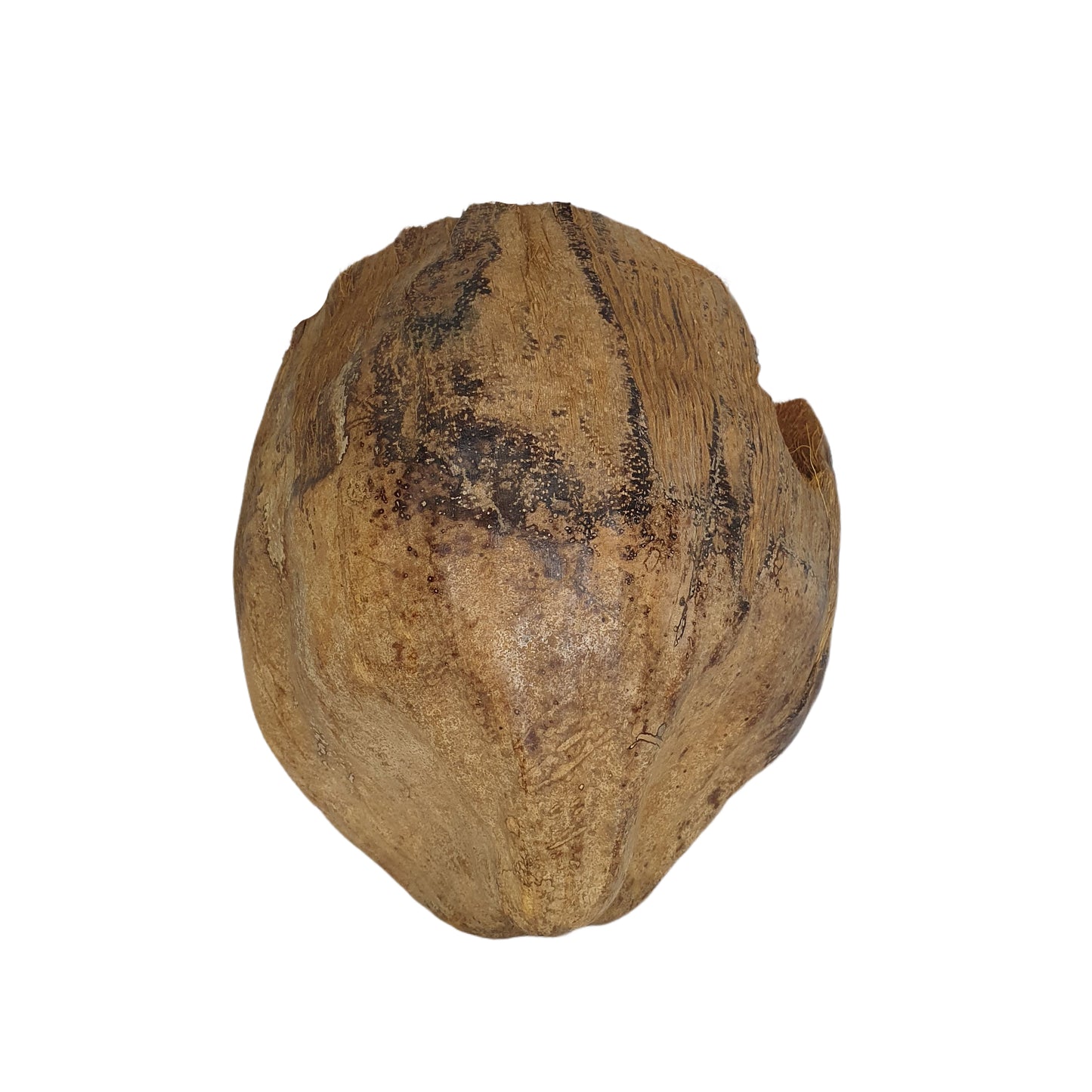 Bivenro Natural 3/4 kryjówka kakaowa z wzorem łuski (wolny rozmiar)