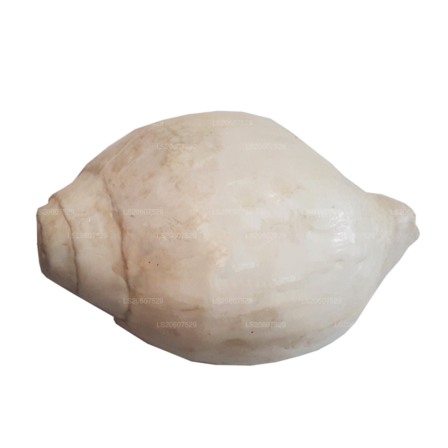 Lakpura Sri Lanki Hakgediya