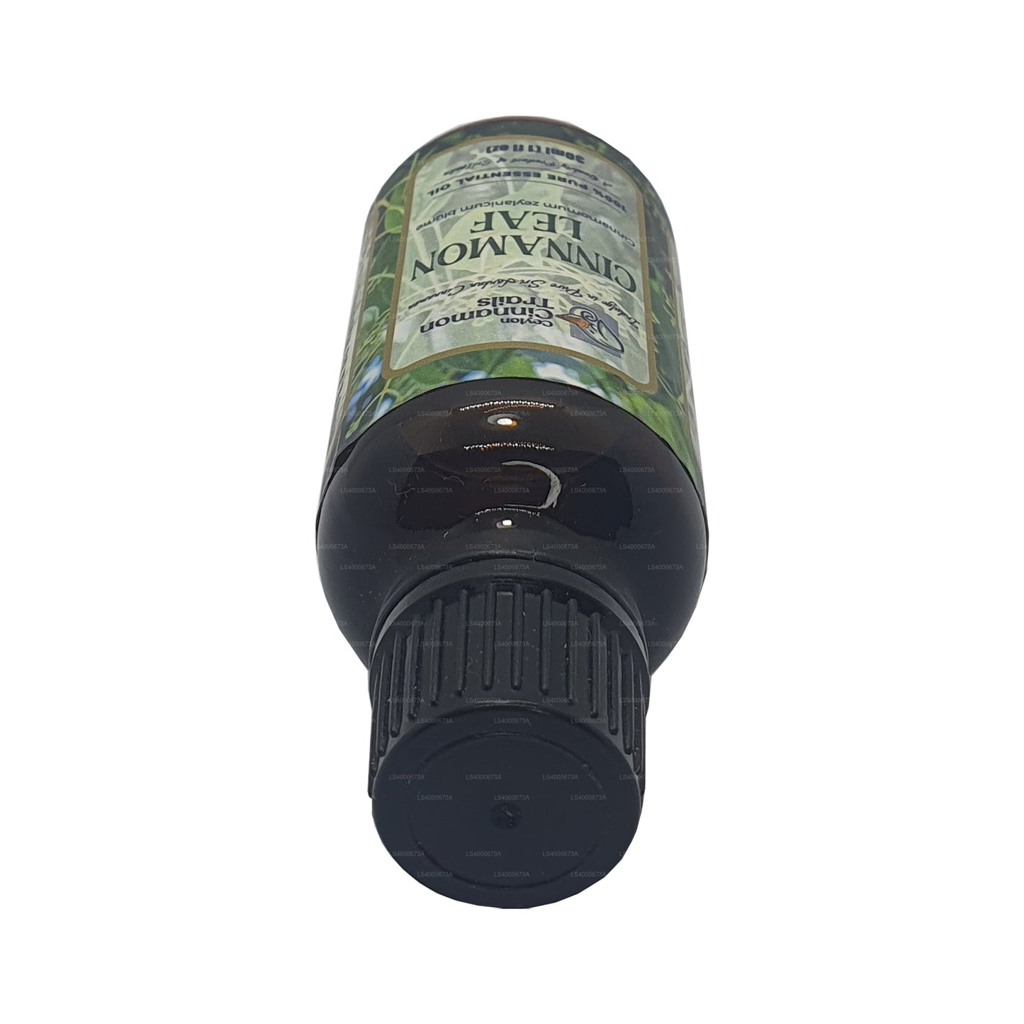 Ceylon Cinnamon Trails Olejek z liści cynamonu (10ml)