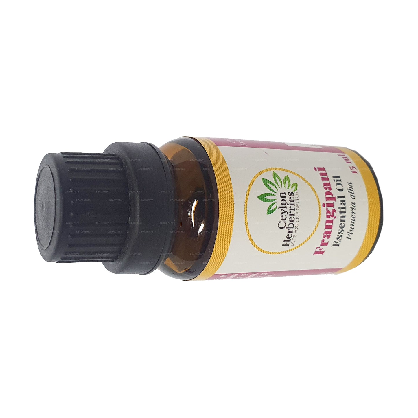 Herberberries cejlońskie Olejek eteryczny Frangipani (Plumeria alba) 15ml