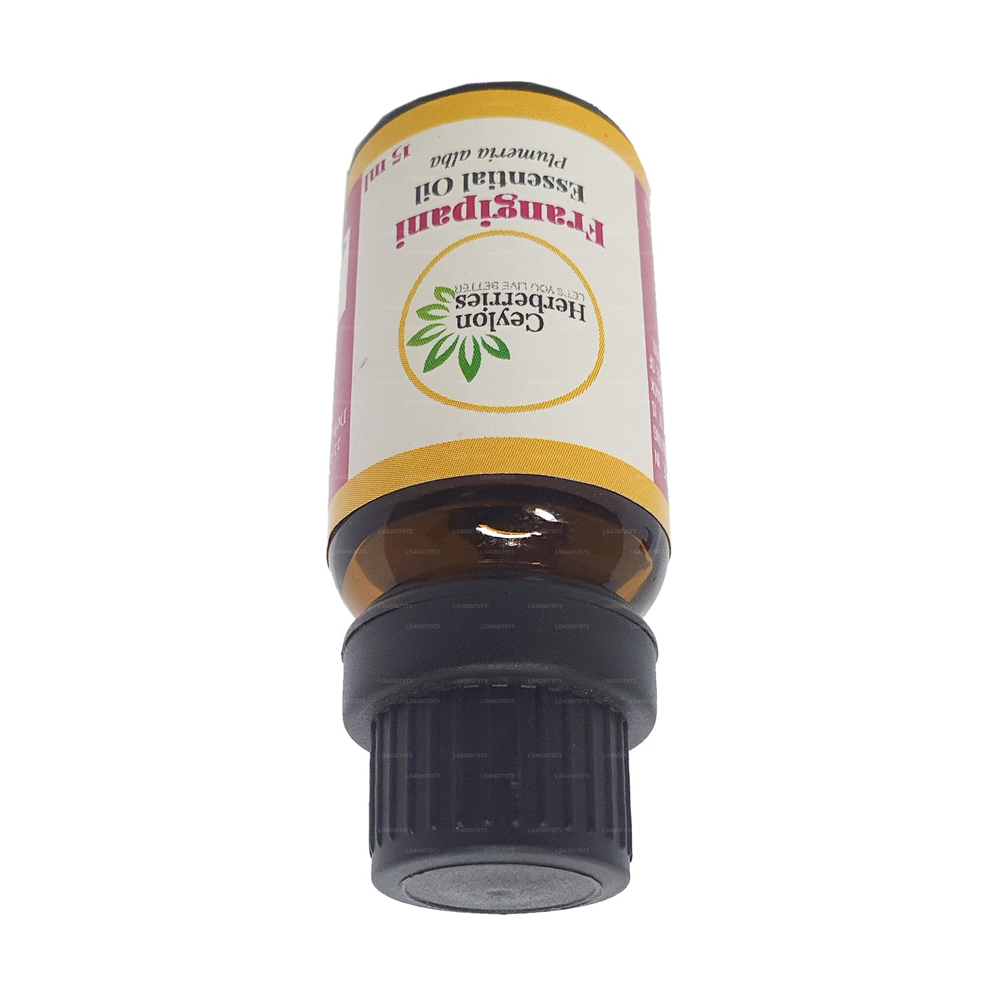 Herberberries cejlońskie Olejek eteryczny Frangipani (Plumeria alba) 15ml