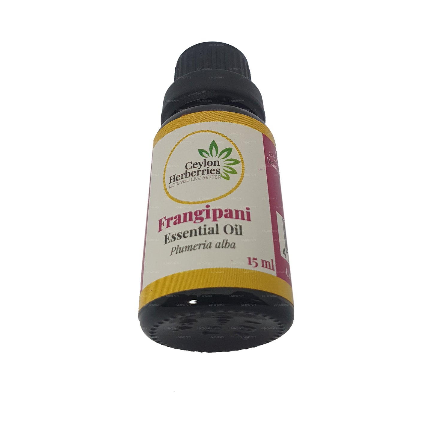 Herberberries cejlońskie Olejek eteryczny Frangipani (Plumeria alba) 15ml