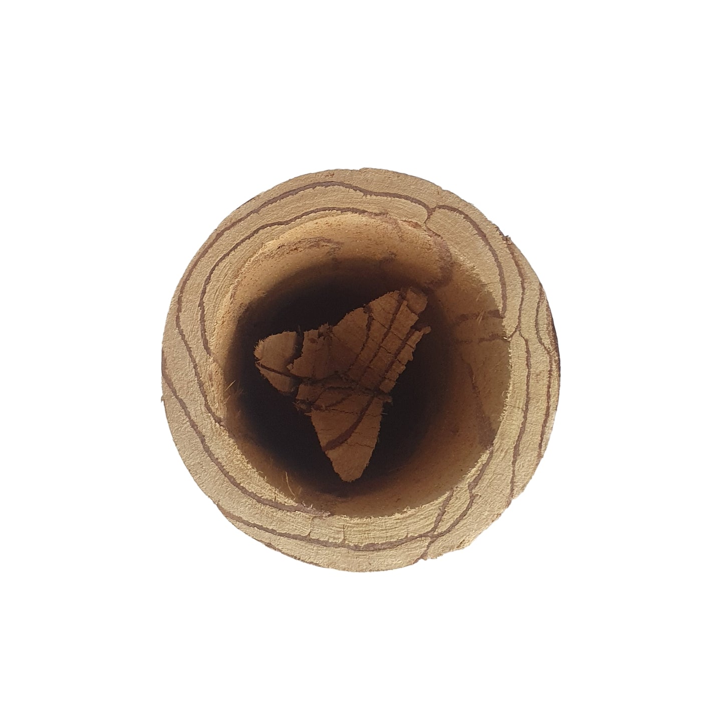 Kubek Lakpura® Kothala Himbutu (Salacia reticulata)