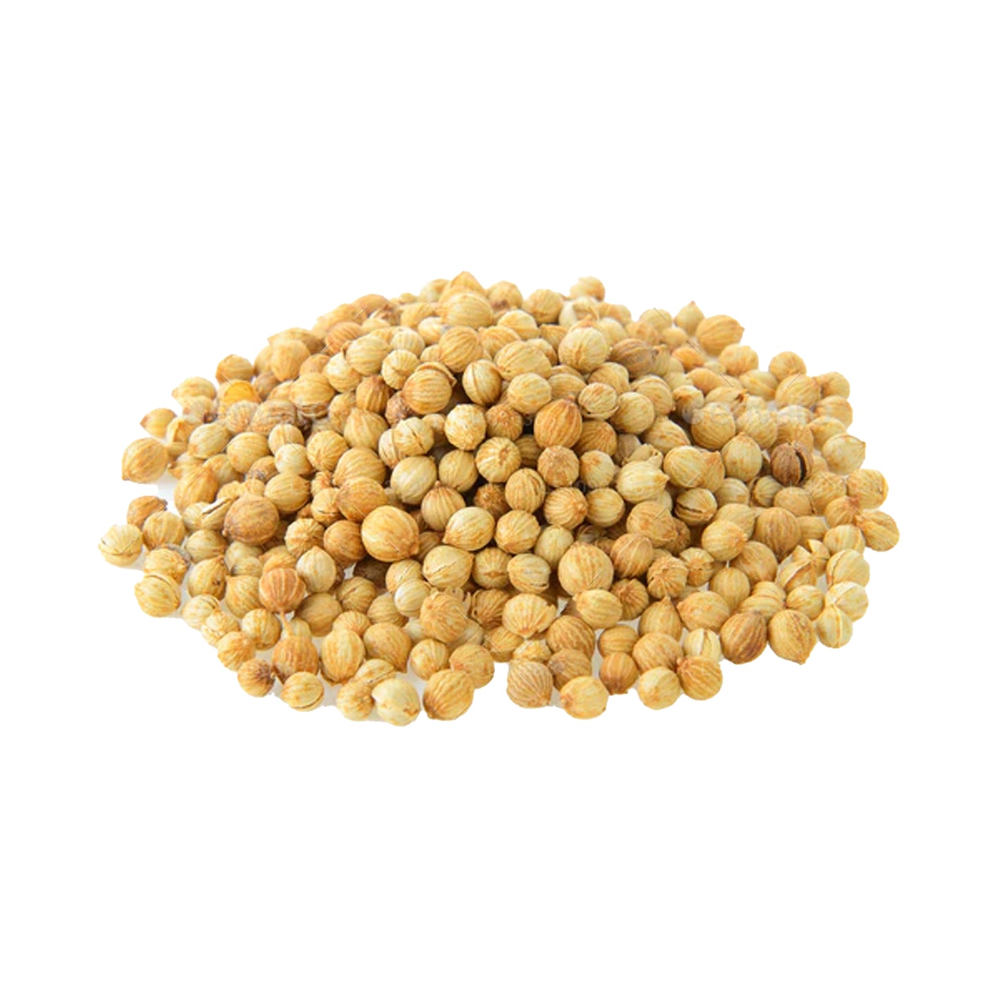 Olejek eteryczny z kolendry lakpura (20ml)