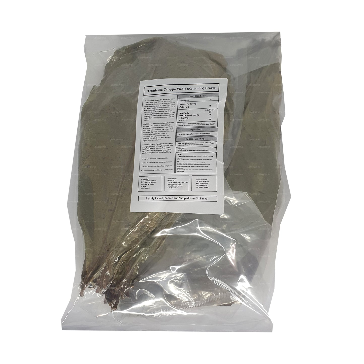 Lakpura Odwodniona (Kottan, Kottamba, Migdał Indyjski) Terminalia catappa 100 liści (100g)