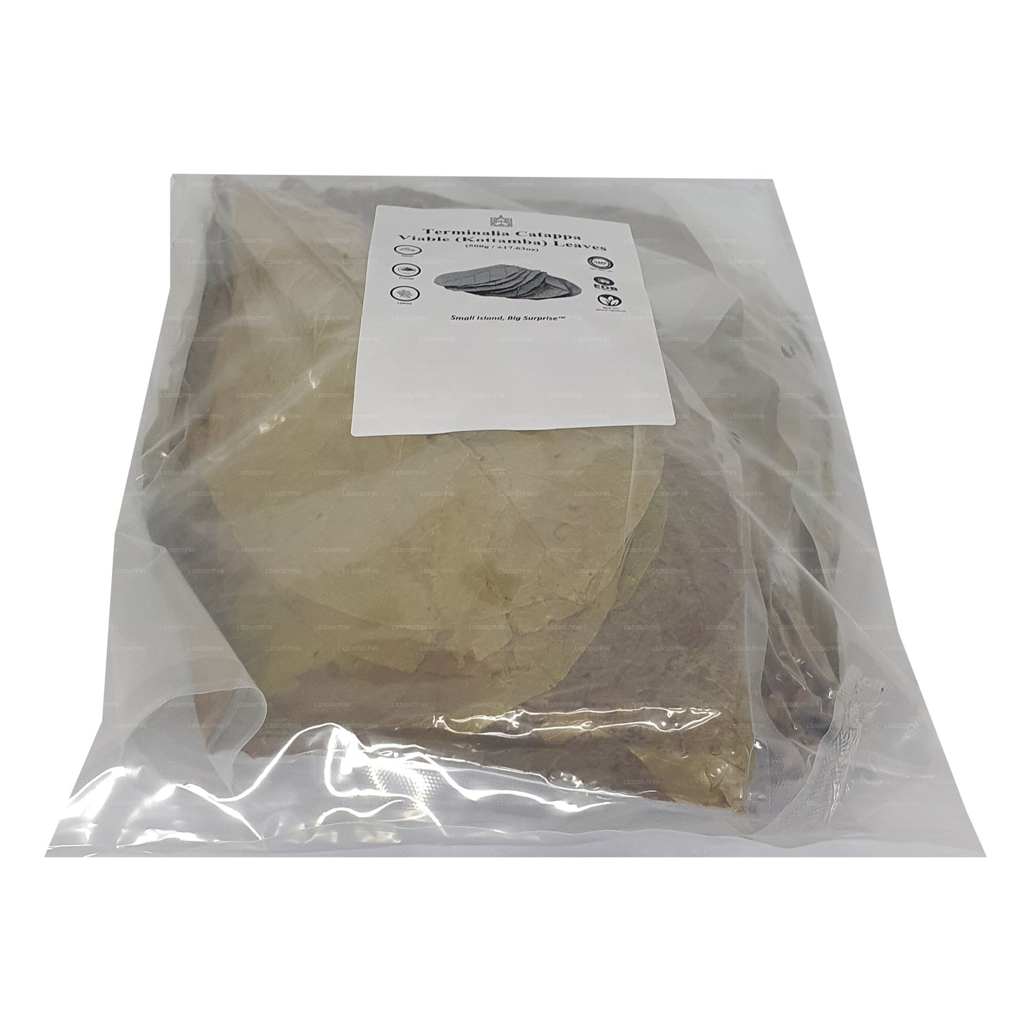 Lakpura Odwodniona (Kottan, Kottamba, Migdał Indyjski) Terminalia catappa 100 liści (100g)