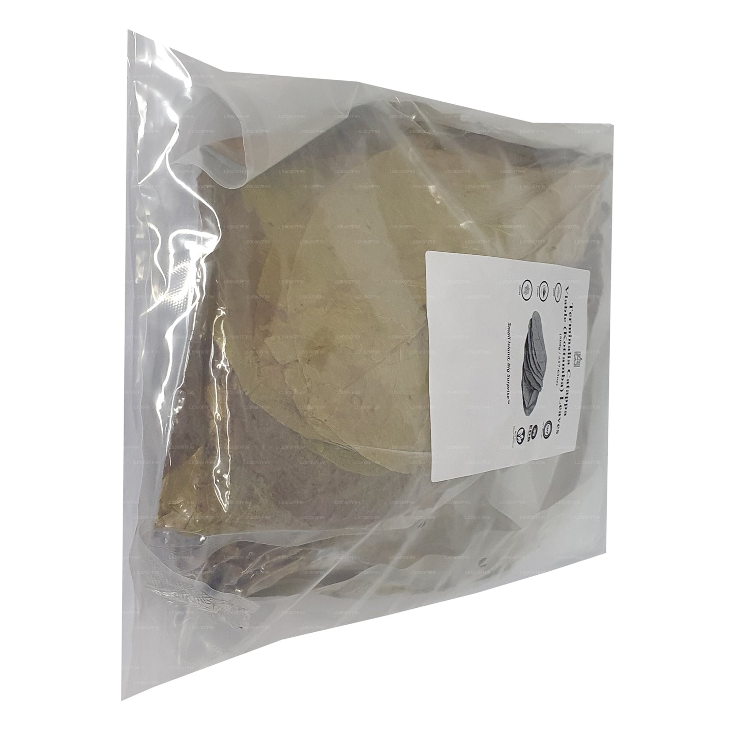 Lakpura Odwodniona (Kottan, Kottamba, Migdał Indyjski) Terminalia catappa 100 liści (100g)