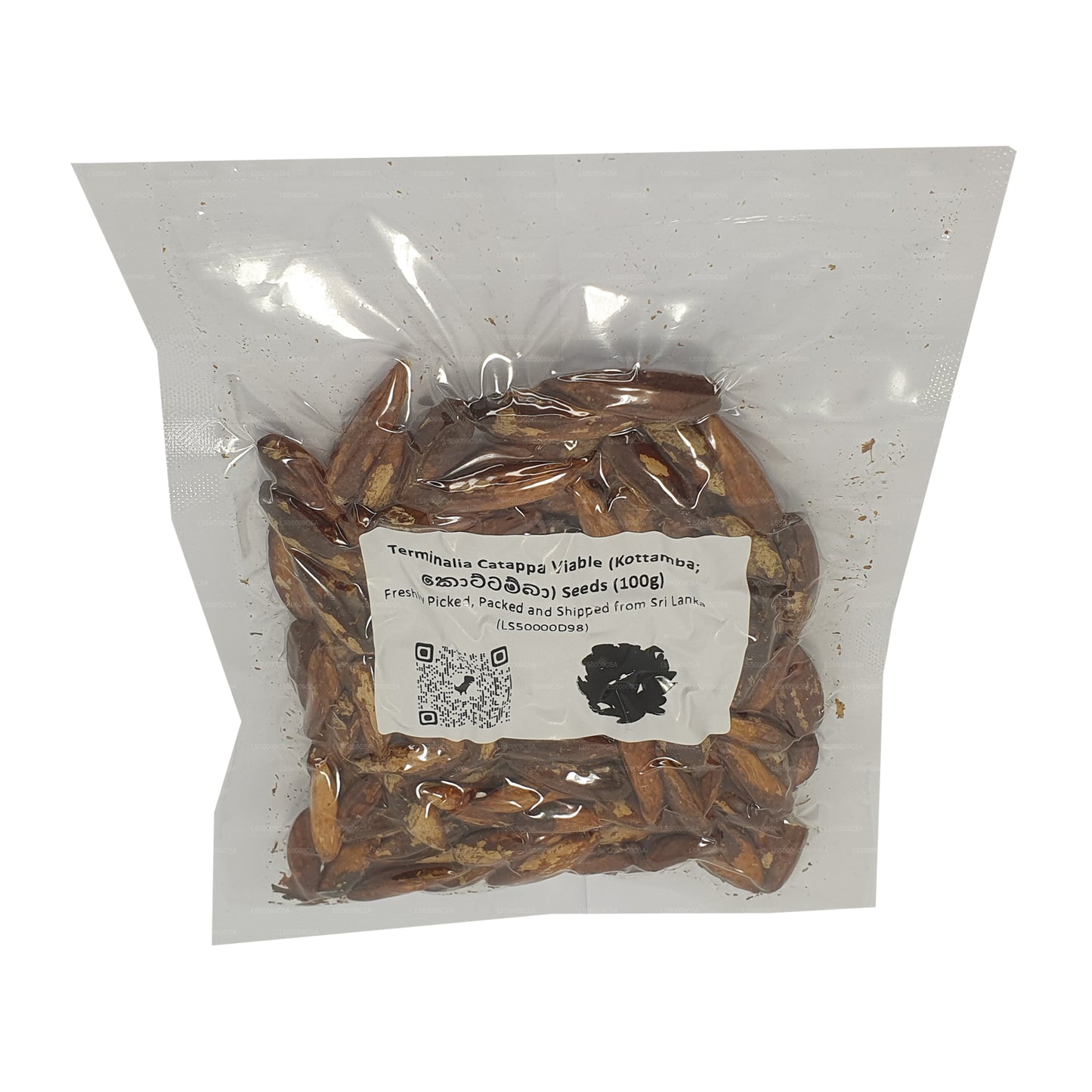 Nasiona Lakpura® Terminalia Catappa Viable (Kottamba)