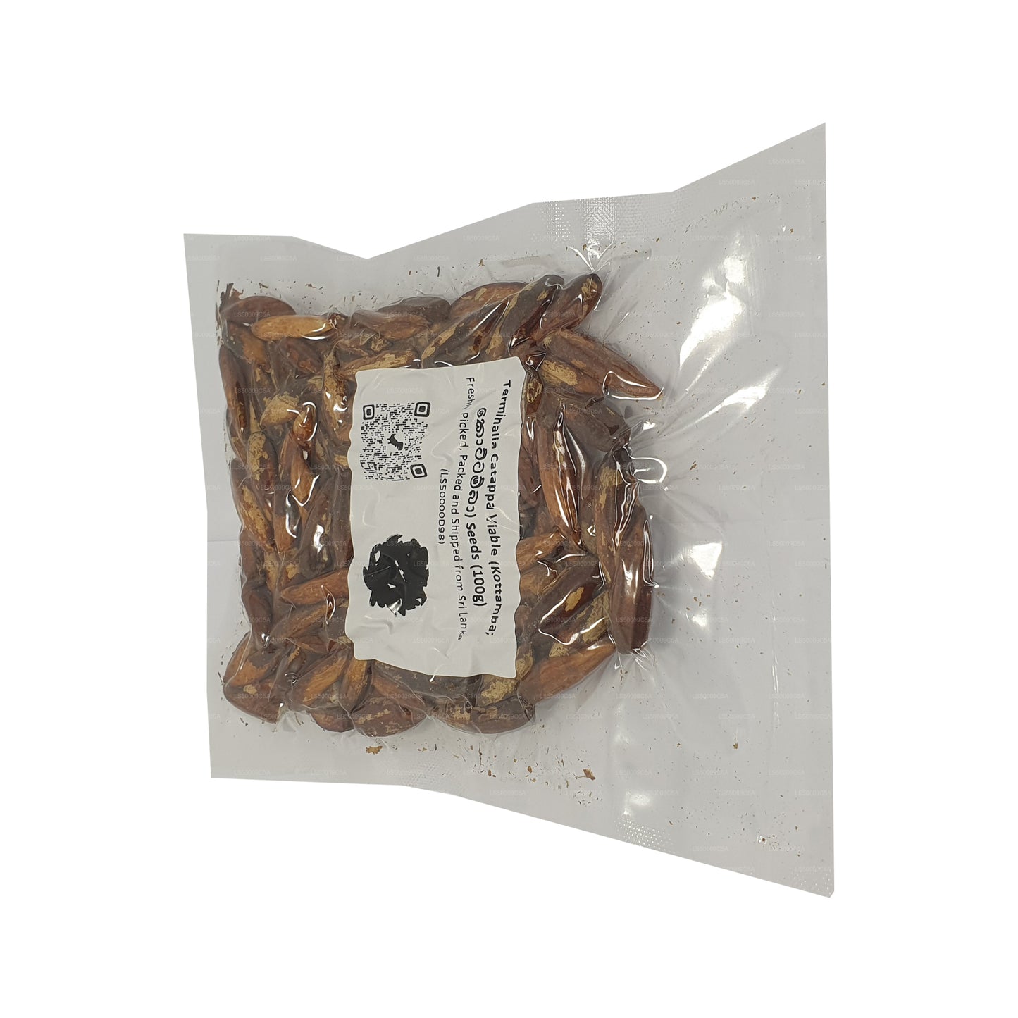 Nasiona Lakpura® Terminalia Catappa Viable (Kottamba)