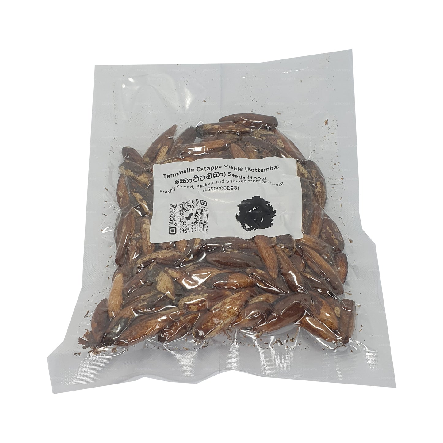 Nasiona Lakpura® Terminalia Catappa Viable (Kottamba)