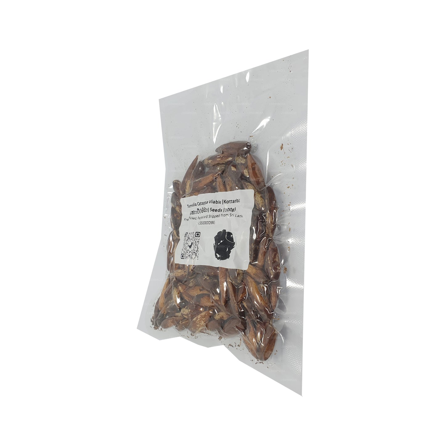 Nasiona Lakpura® Terminalia Catappa Viable (Kottamba)