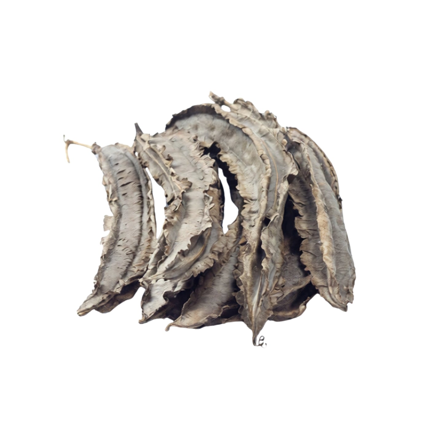 Fasola skrzydlata Lakpura