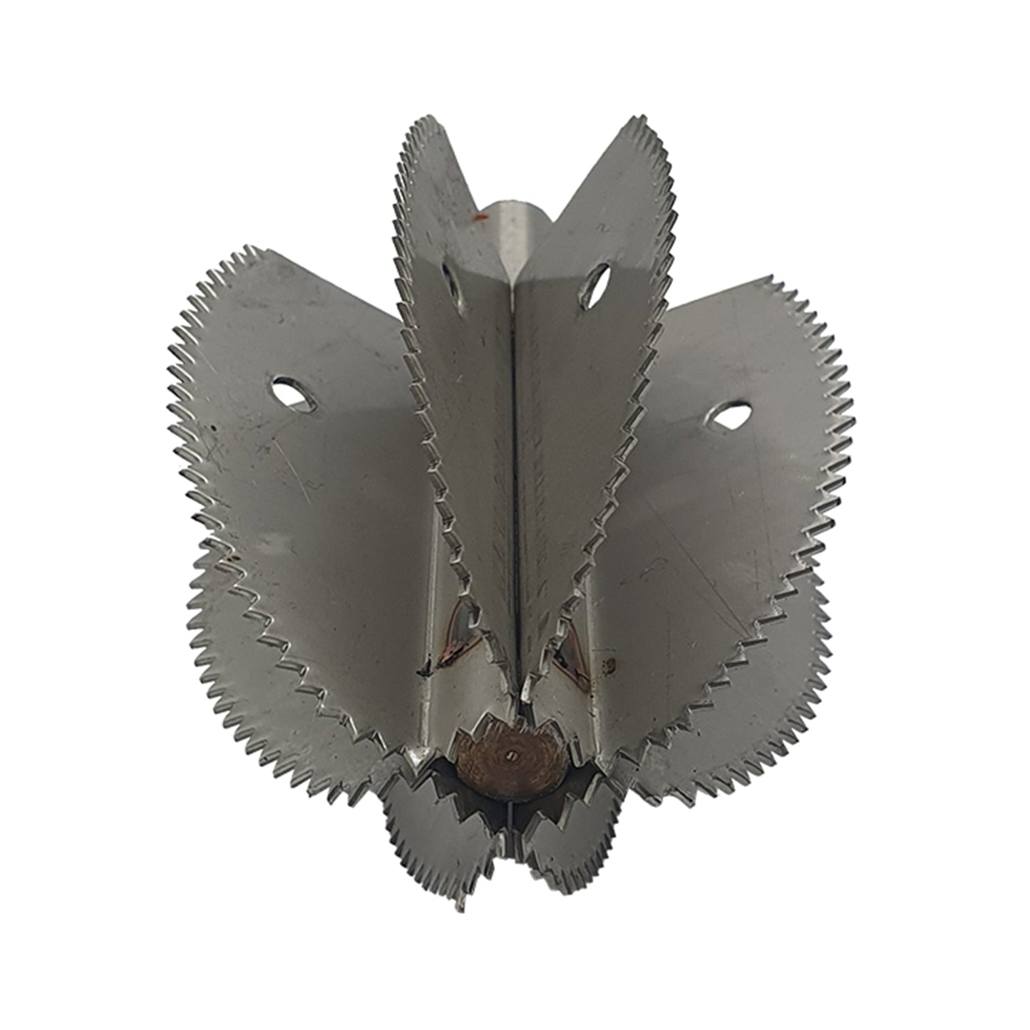 Wymienne ostrze do skrobaczki do kokosa Odiris