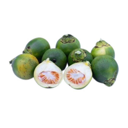 Lakpura®  Young Baby Betel Nut (Areca catechu) Whole