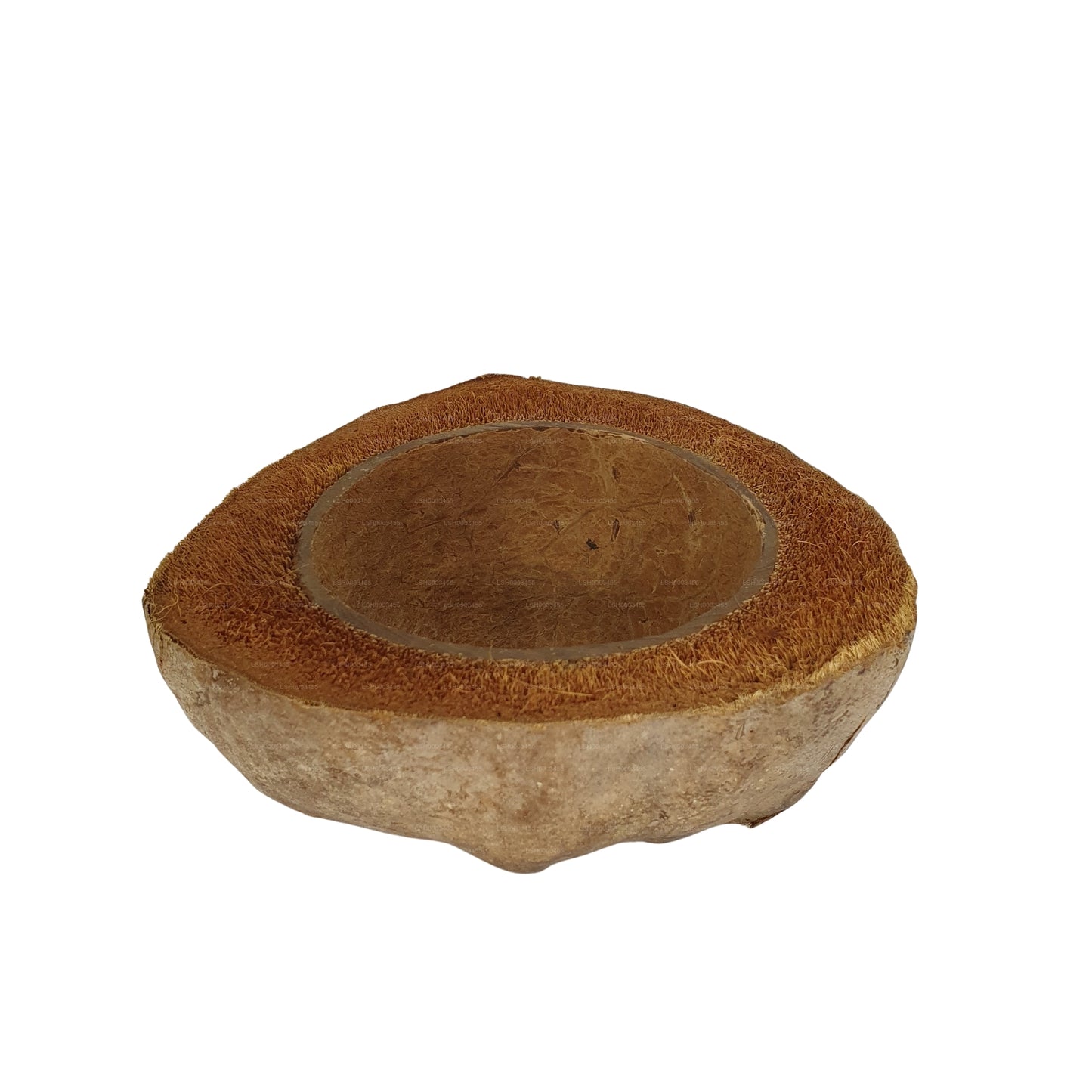 Projekt doniczki do sadzenia naturalnego kokosa Bivenro (bezpłatny rozmiar)