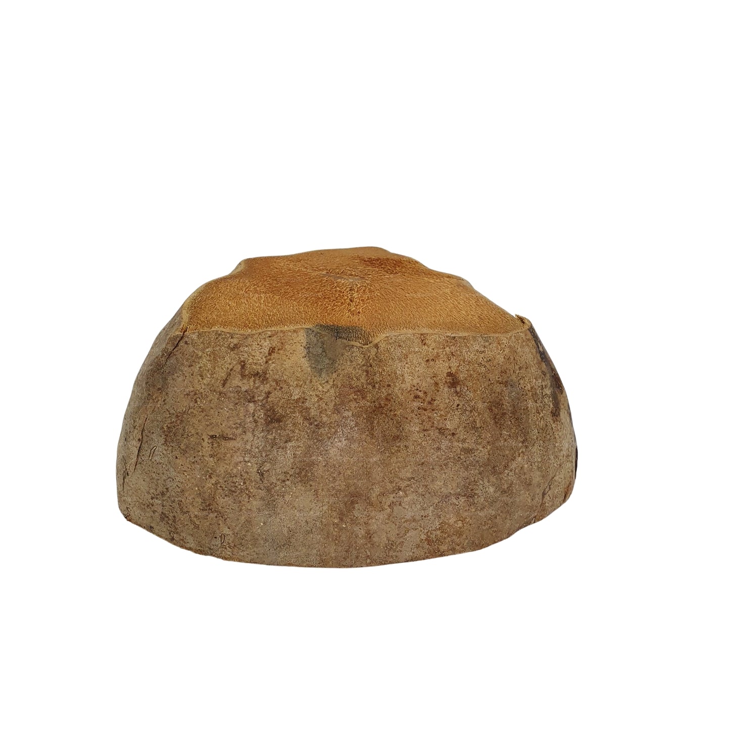 Projekt doniczki do sadzenia naturalnego kokosa Bivenro (bezpłatny rozmiar)