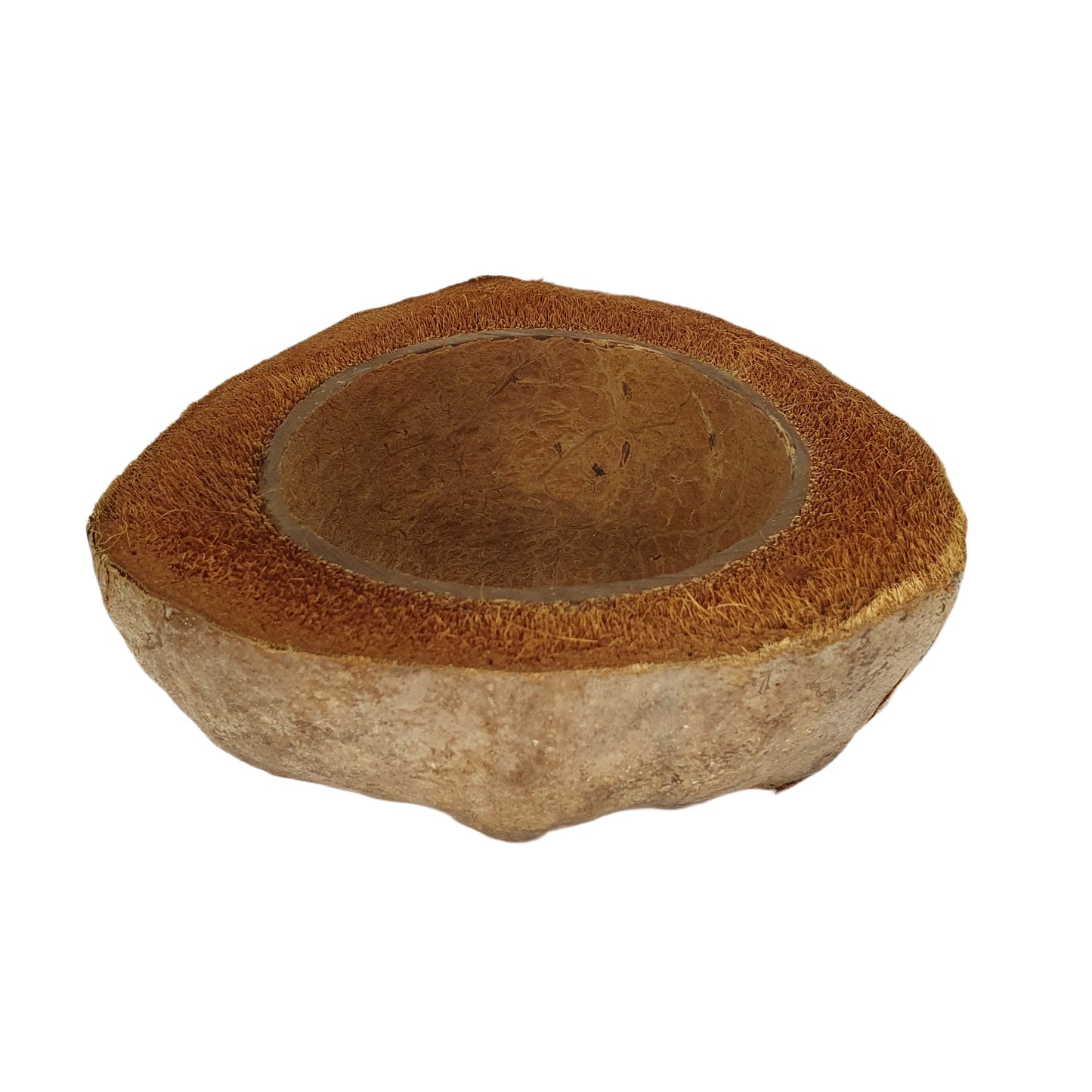 Projekt doniczki do sadzenia naturalnego kokosa Bivenro (bezpłatny rozmiar)