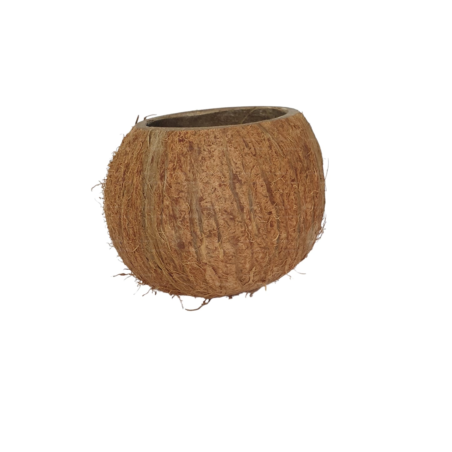 Bivenro Natural 3/4 Jaskinia ze skorupą kokosową (wolny rozmiar)