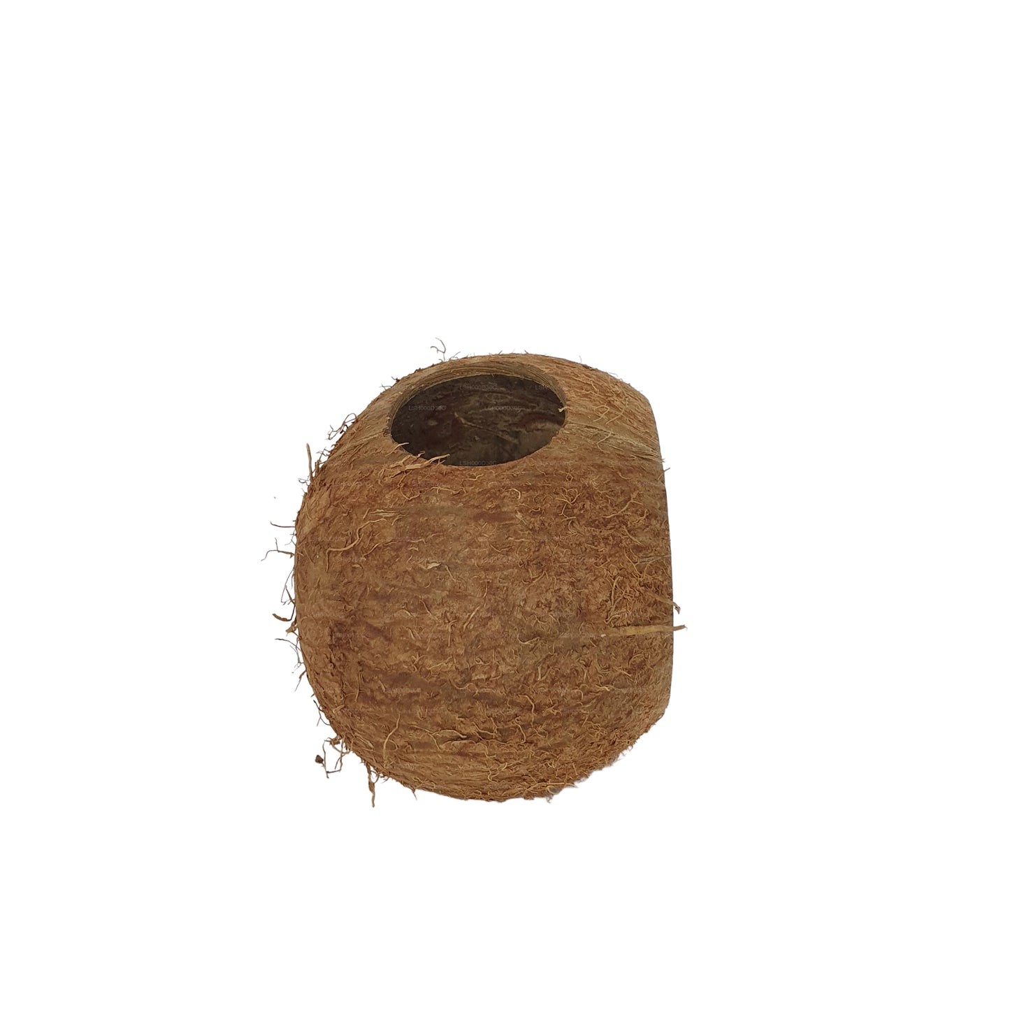 Bivenro Natural 3/4 Jaskinia ze skorupą kokosową (wolny rozmiar)
