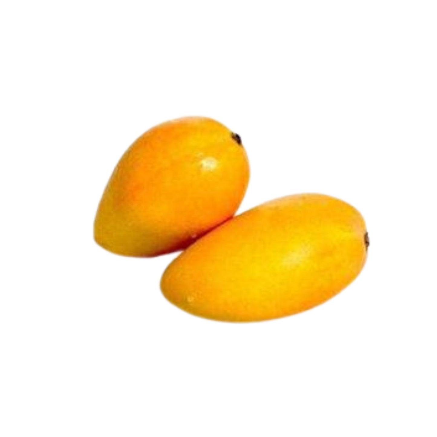 Szczepiona roślina Lakpura® Alponsu Mango