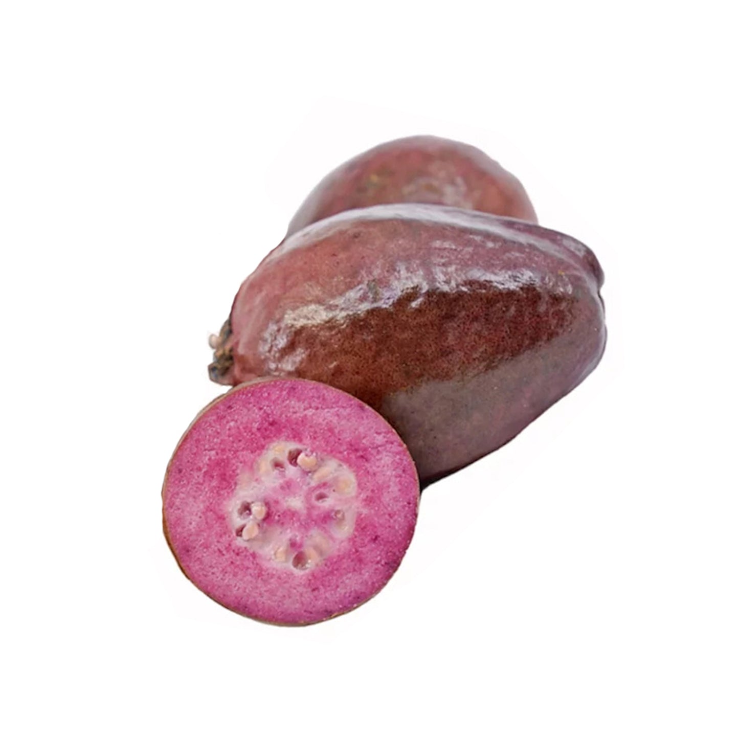 Roślina owocowa purpurowej guawy Lakpura