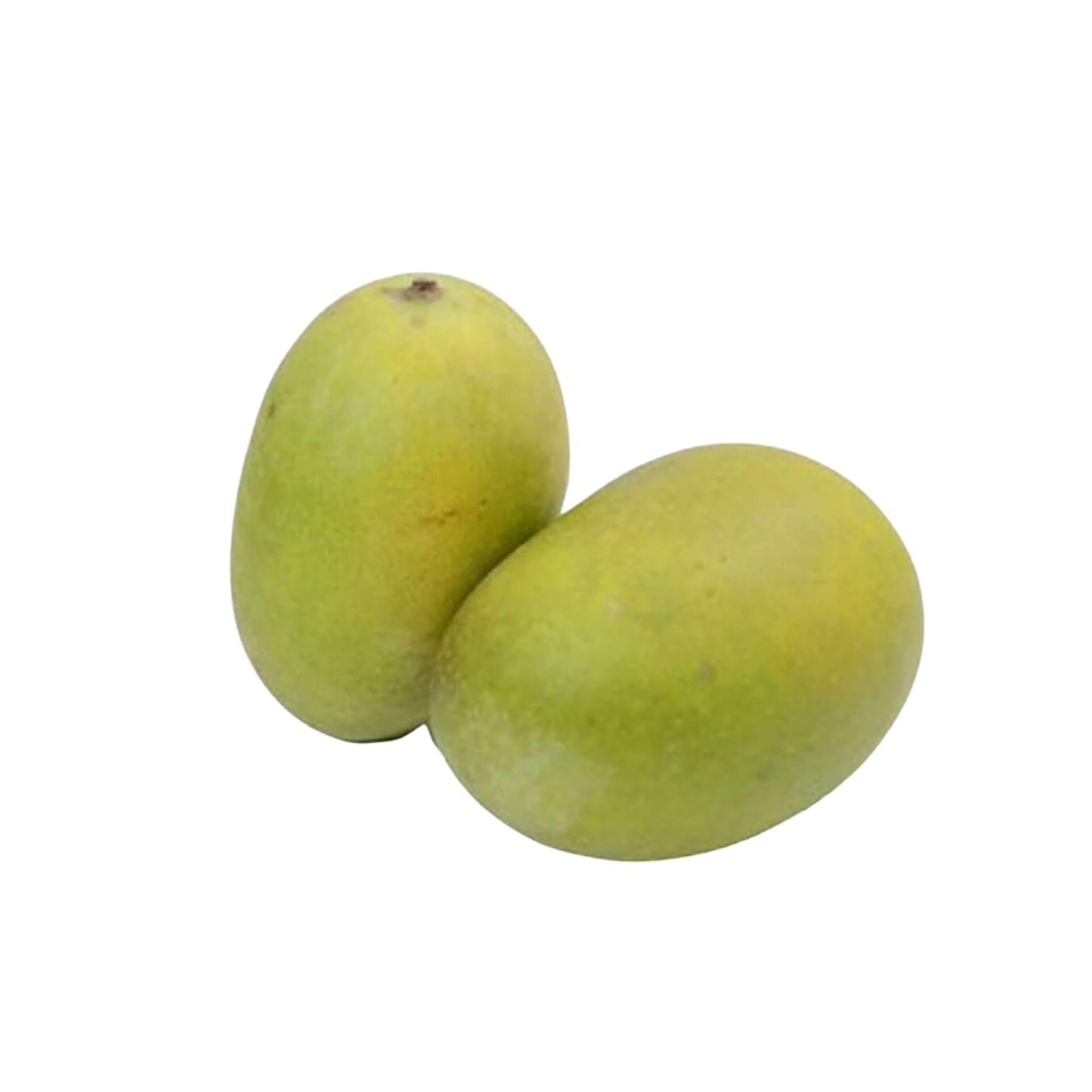 Lakpura® Dampara Mango Szczepiona Roślina