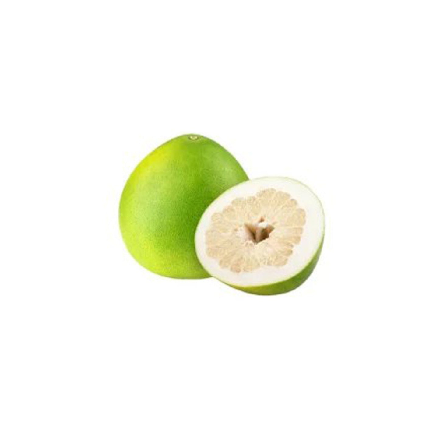 Szczepiona roślina Lakpura® Thai White Pomelo