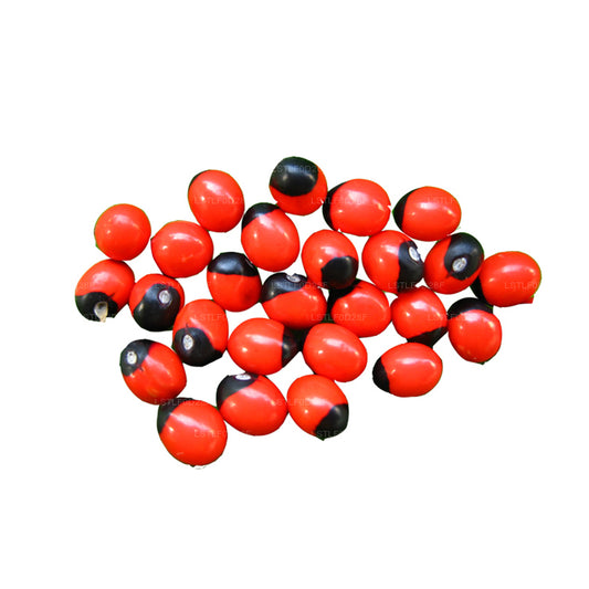 Nasiona Lakpura® Olinda (Abrus marokański)