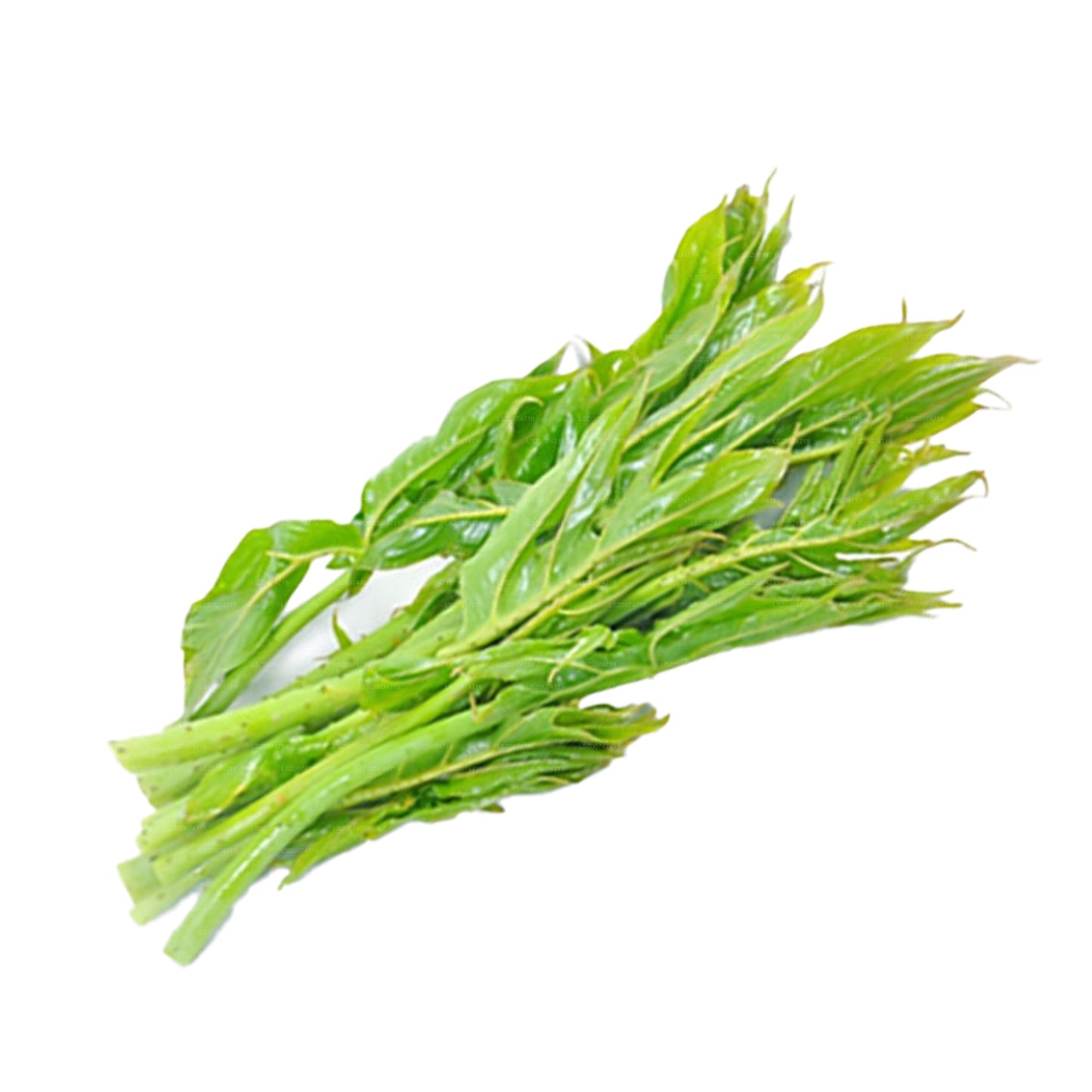 Liście Lakpura Kohila