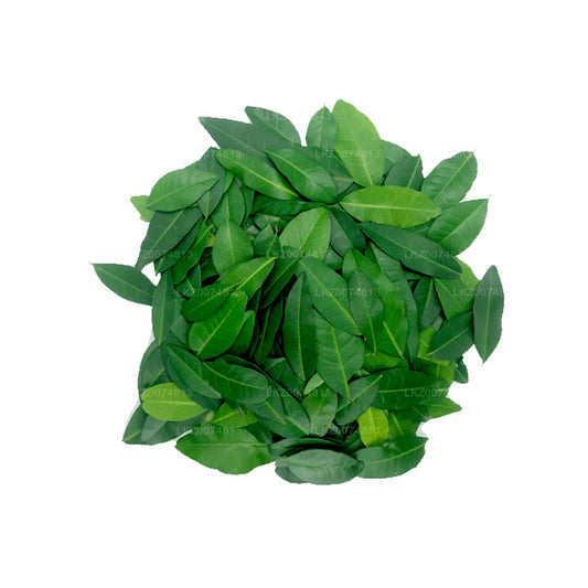 Lakpura Fresh Yaki Naran (Atalantia Ceylanica) 100 liści