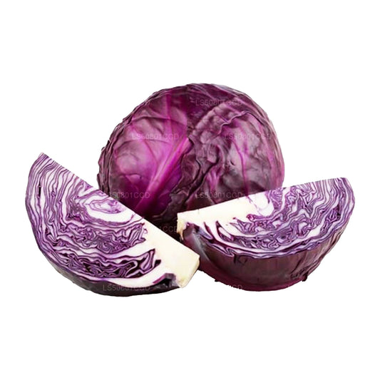 Purpurowa Kapusta