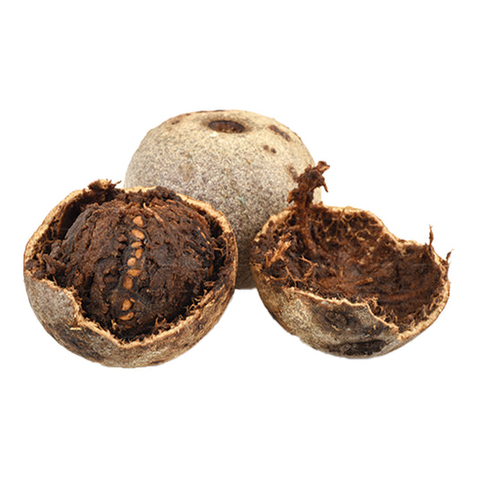 Jabłko z drewna Lakpura