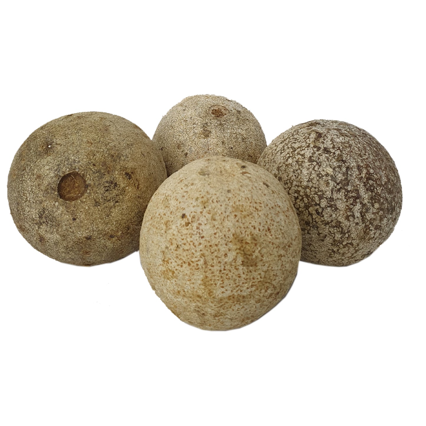 Jabłko z drewna Lakpura